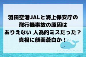 羽田空港JALと海上保安庁の飛行機事故の原因は人為的ミスだった？真相に顔面蒼白か！