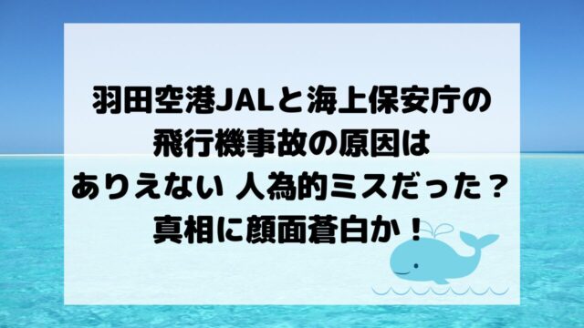 羽田空港JALと海上保安庁の飛行機事故の原因は人為的ミスだった？真相に顔面蒼白か！