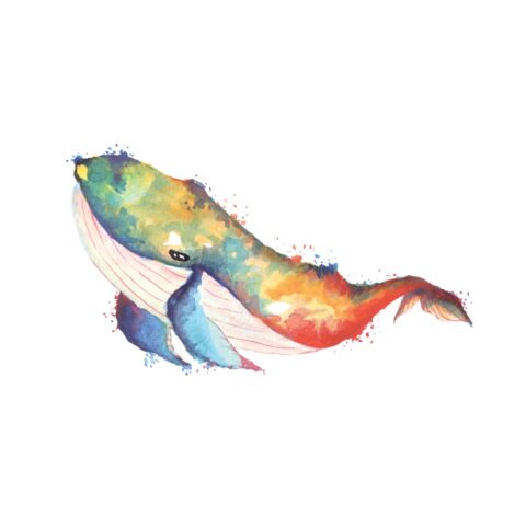 _Colorful Abstract Watercolor Whale Album Cover